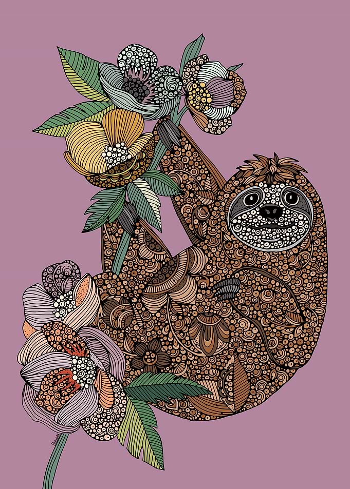 Little sloth