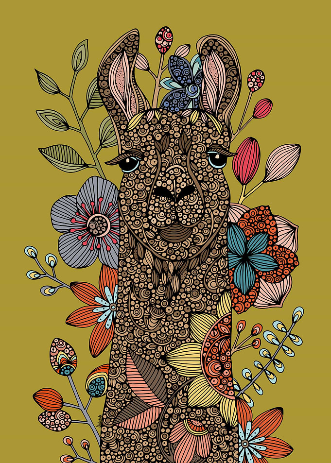 Llama