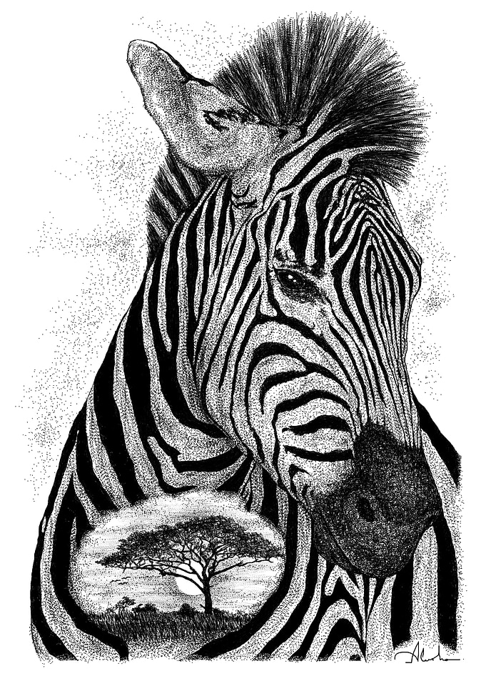 ZEBRA