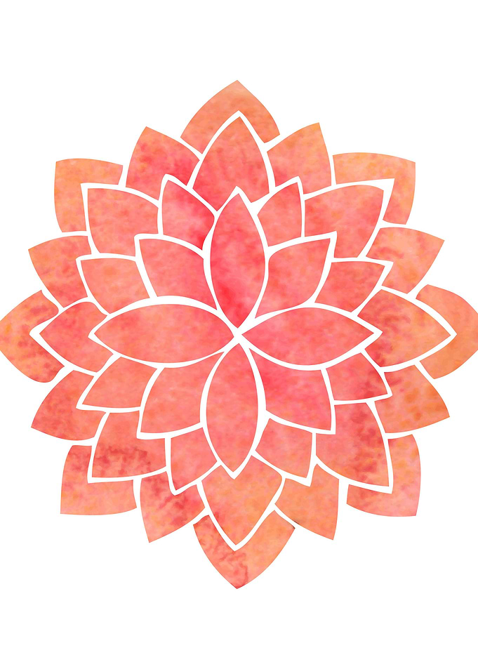 Salmon Mandala