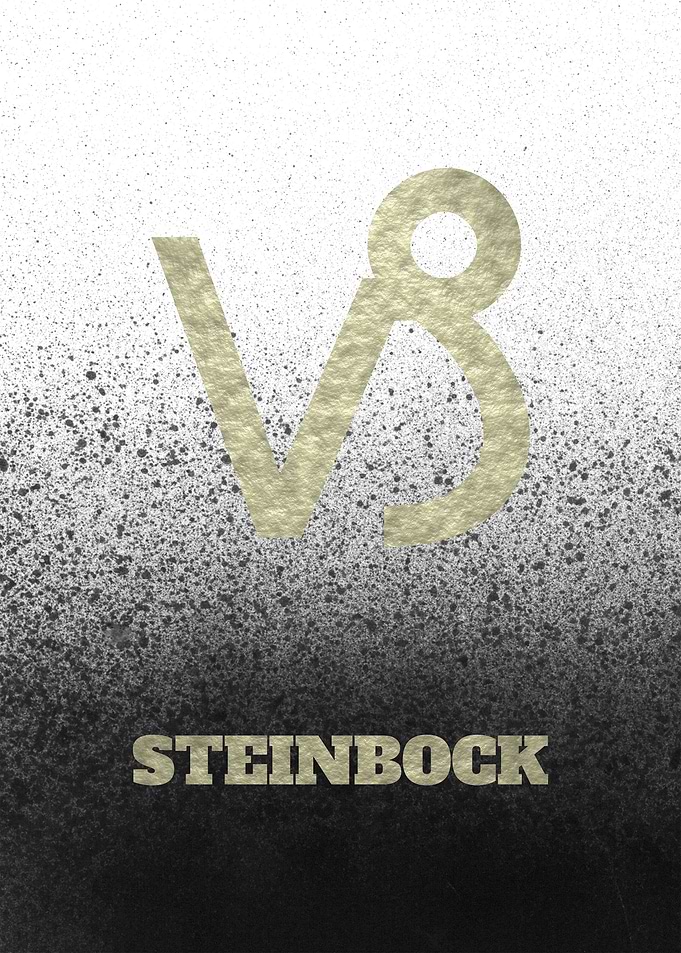 Sternzeichen Steinbock