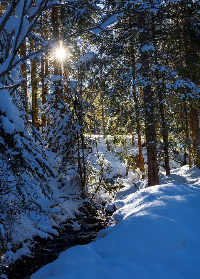 winter stream