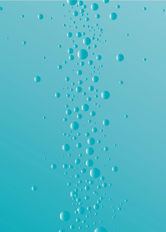 Rising Bubbles