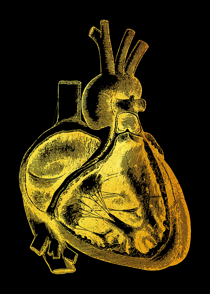 Heart