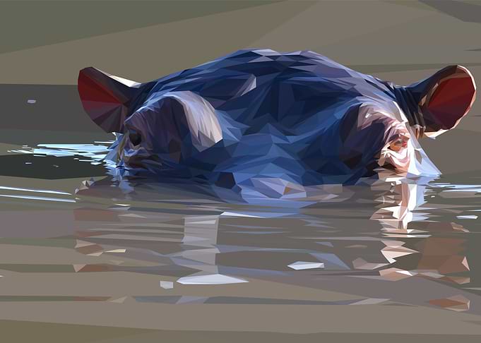 Low Poly Hippo Head