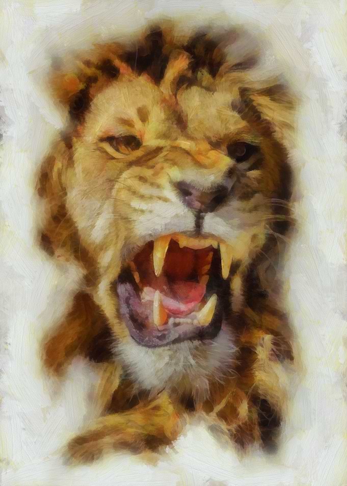 Angry lion