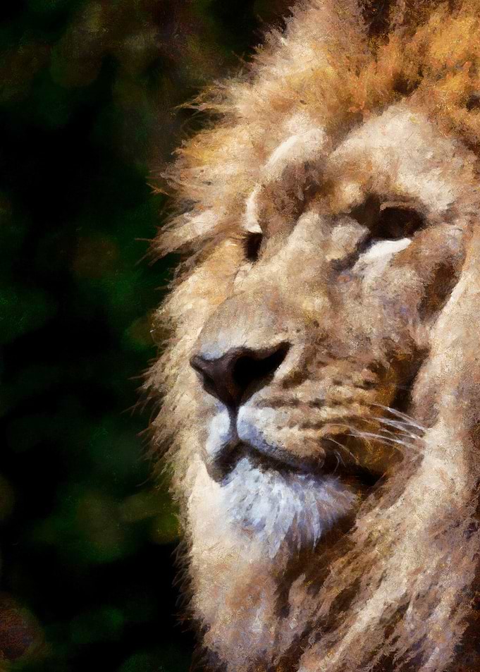 Big Lion