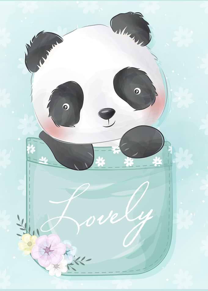 cute panda