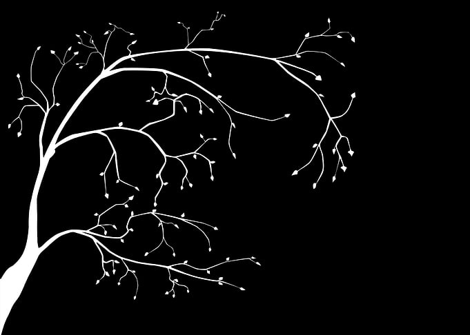 Branch Silhouette