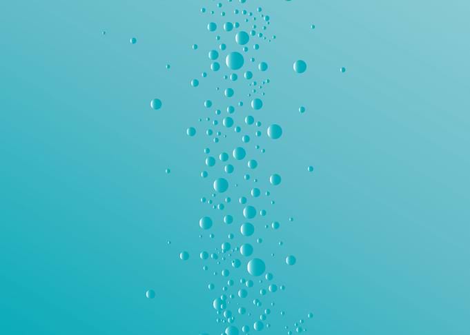 Rising Bubbles