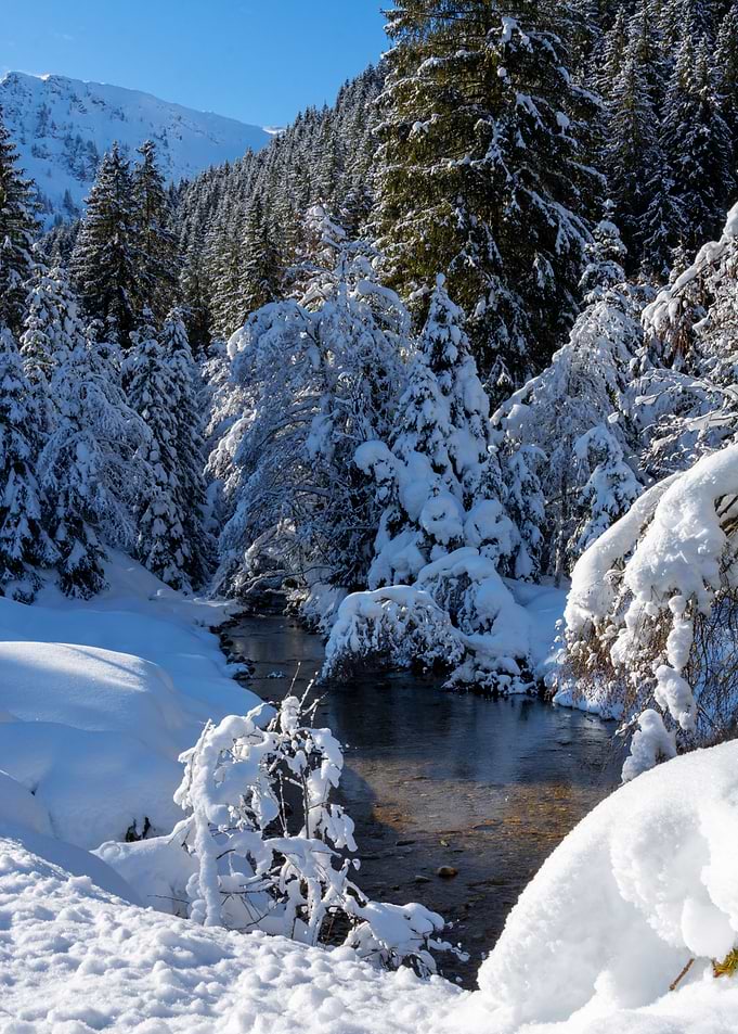 winter panoramic view