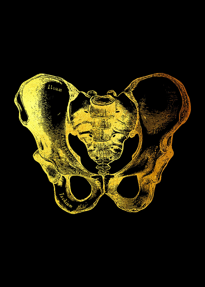 Pelvic