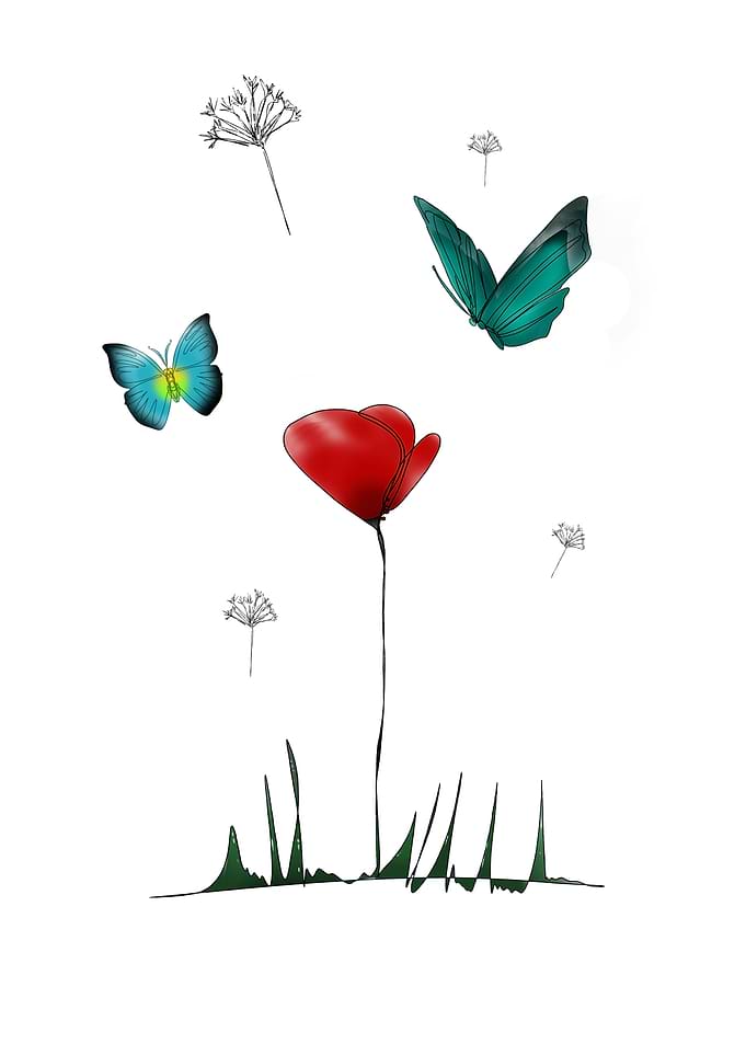 Poppy and Butterflies
