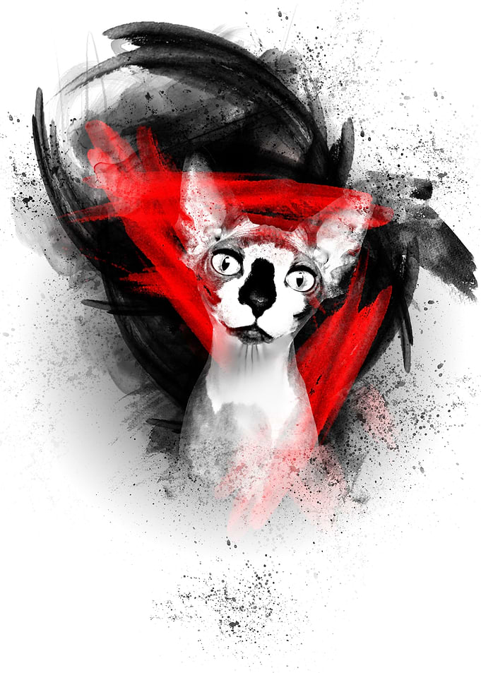 White Cat