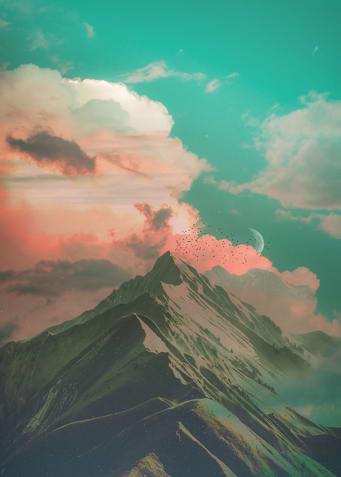 nature aesthetic