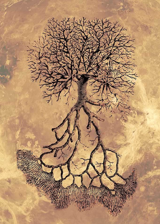 Tree of Nerves