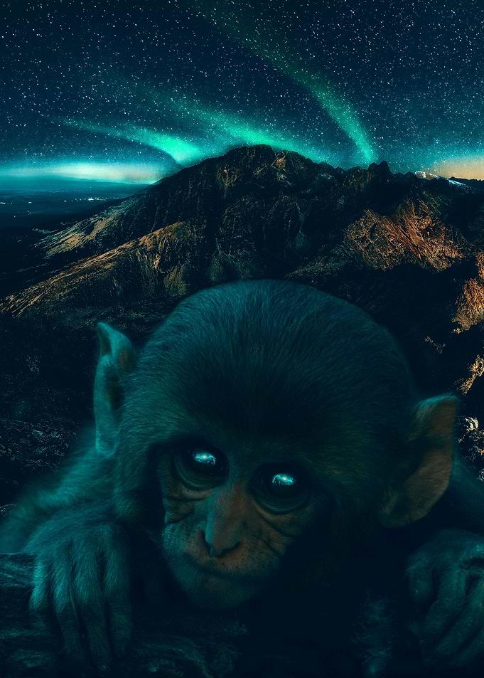 Green night