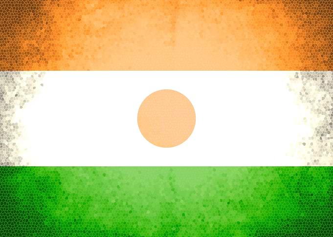 Niger vintage flag