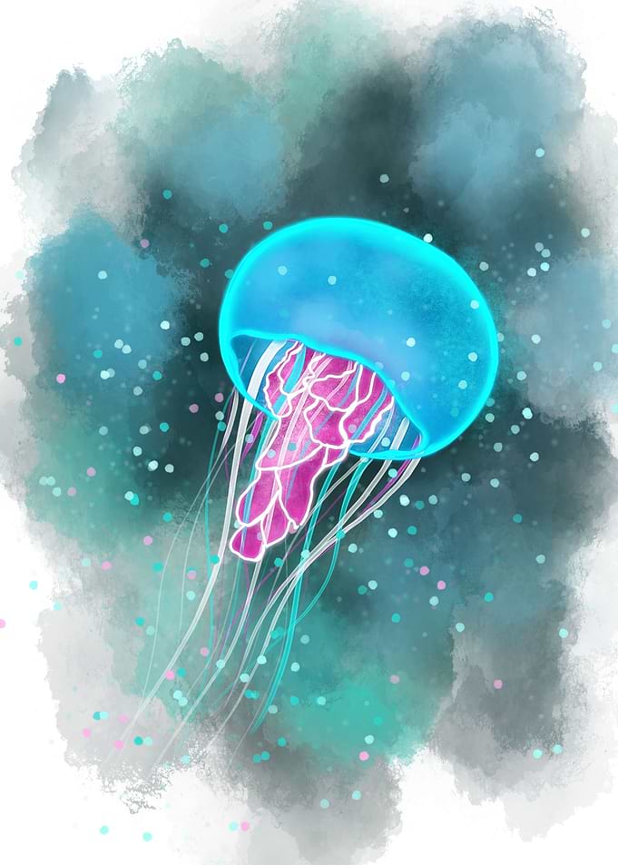 Jellyfish portrait