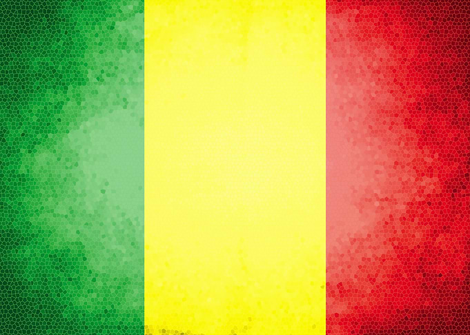 Mali vintage flag
