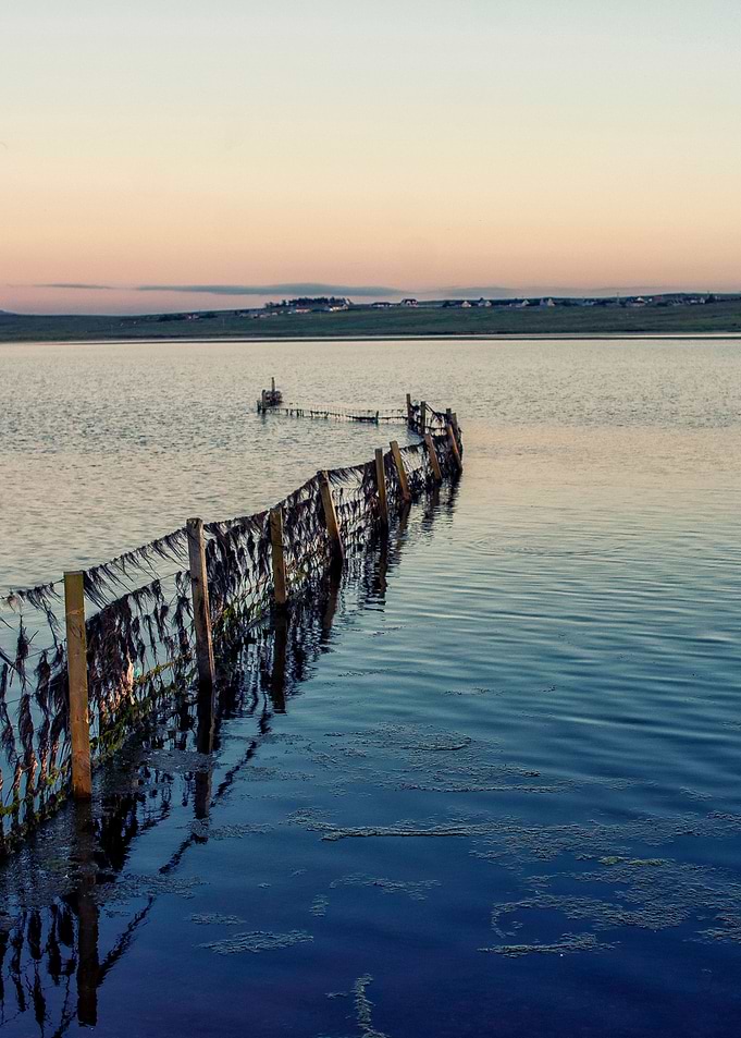 Lake at Dusk
