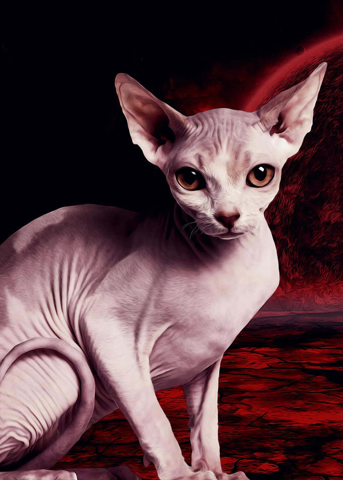 Red Cat