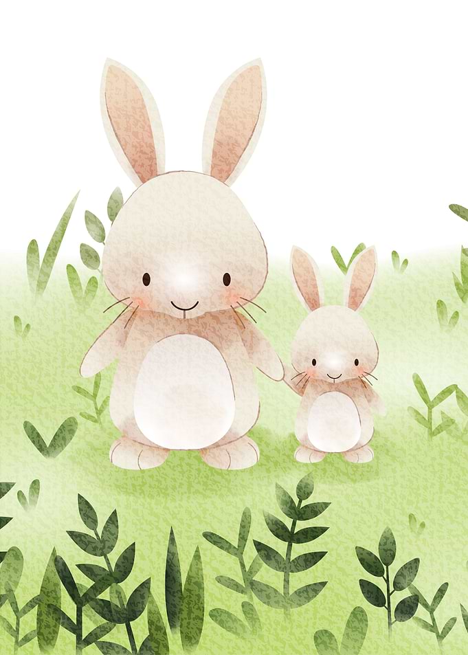 bunny on grass