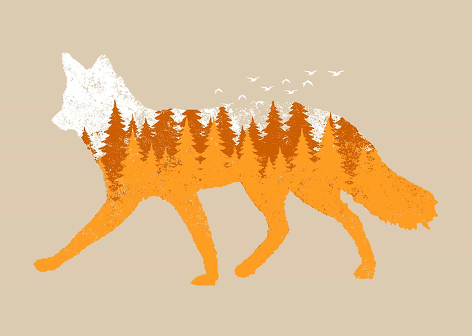 Fox Forrest