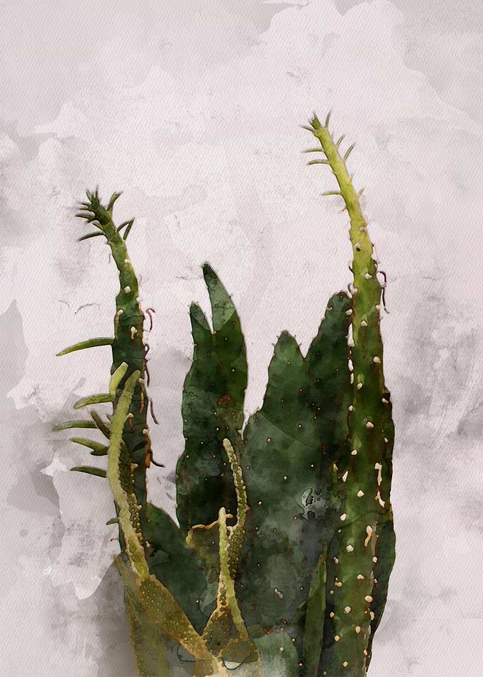 Watercolour Cactus
