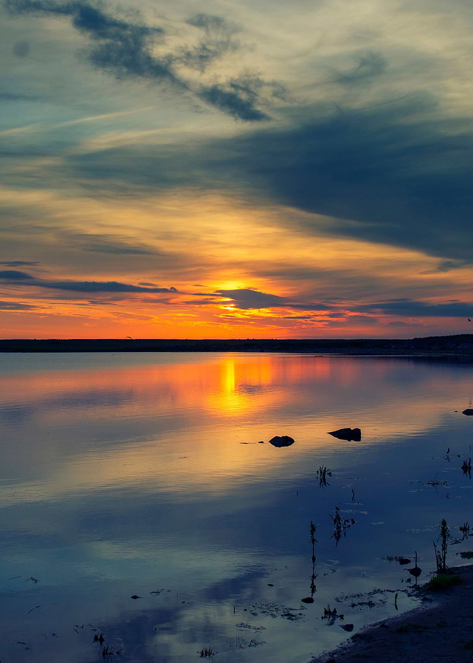 Sunset Lewis