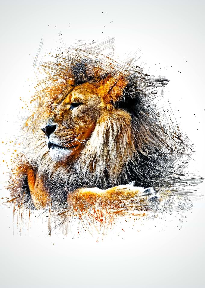 The Lion