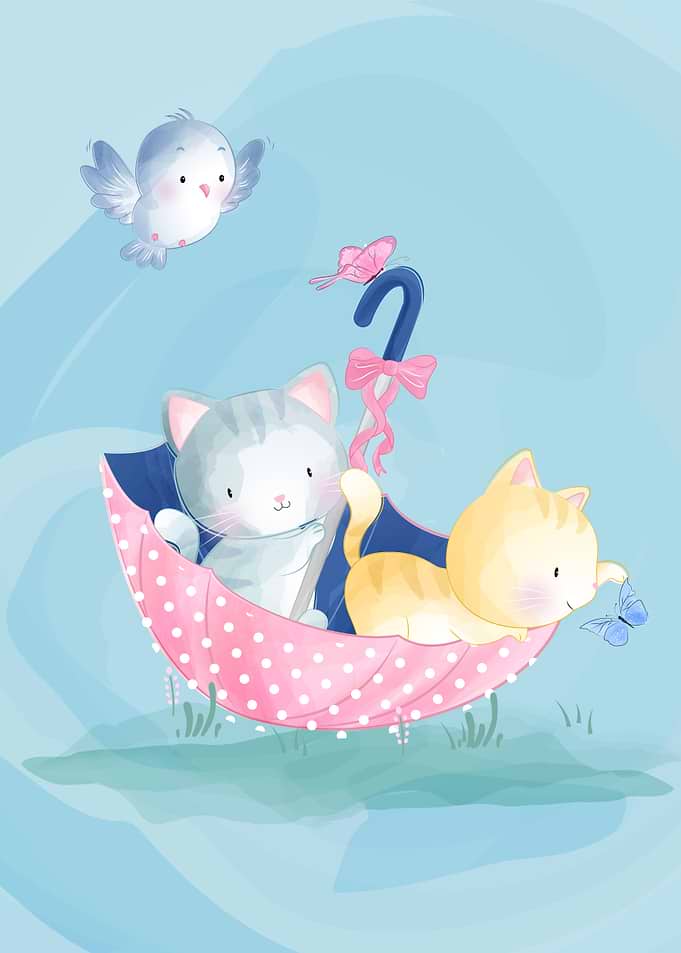 Cute kitty