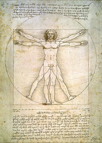 The Vitruvian Man