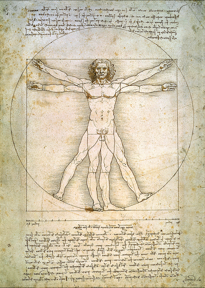 The Vitruvian Man