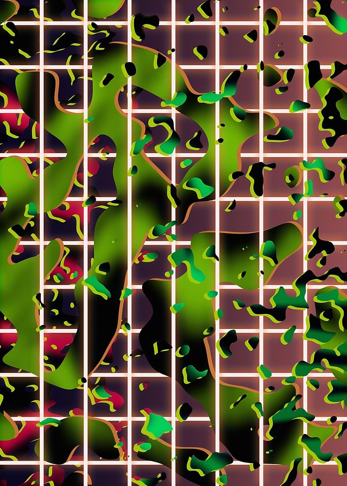 Conceptual Grid