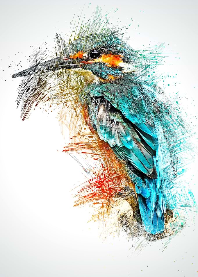 blue bird fisher