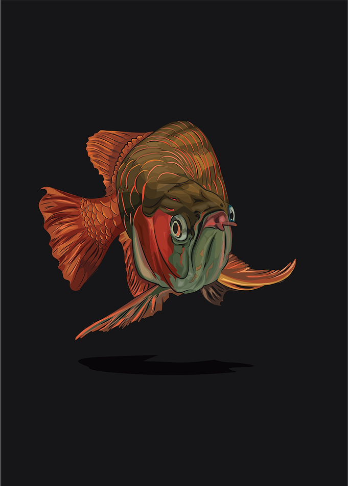 Arowarna Golden RED
