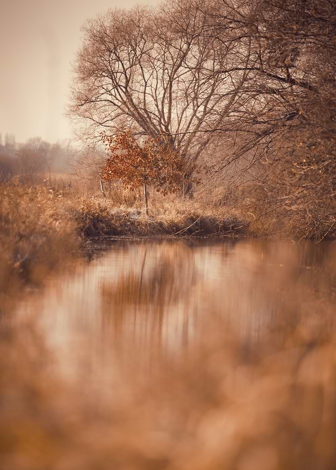Winter reflection