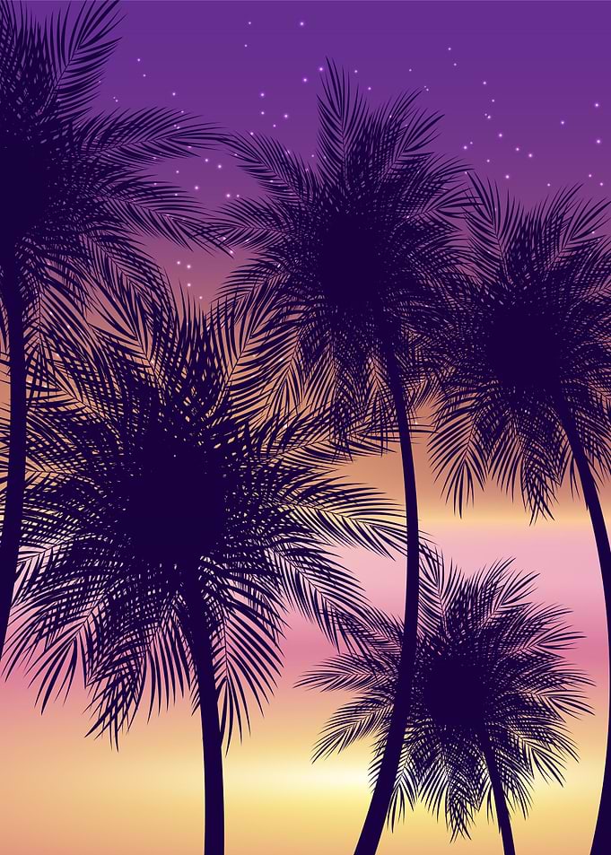 natural palm