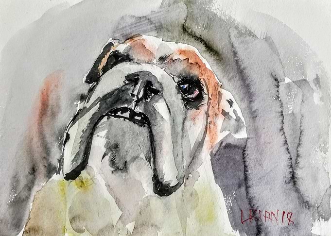 The bulldog
