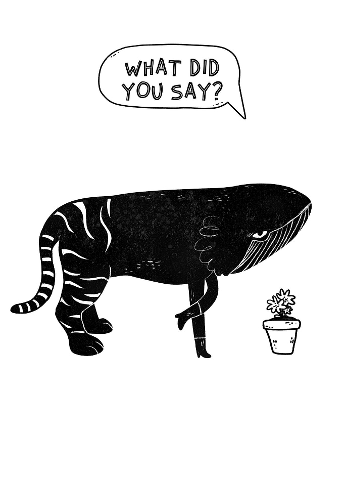 What did you say