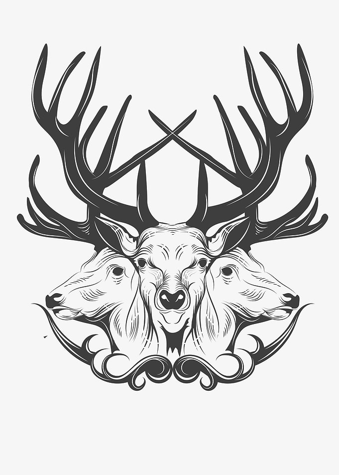 Three Head Dear