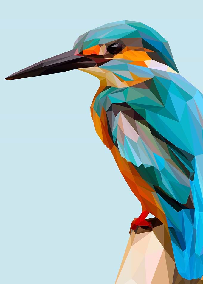 kingfisher bird