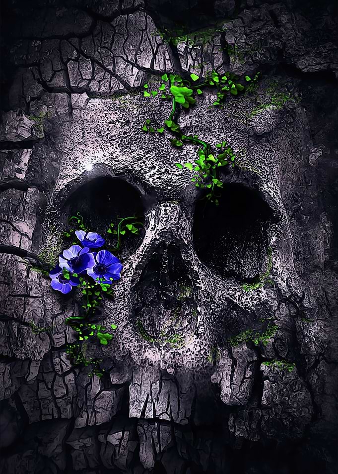 Skull in wooden texture