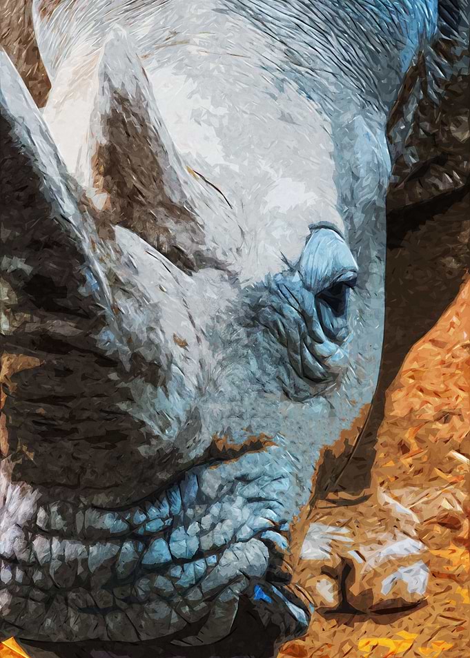 Rhino