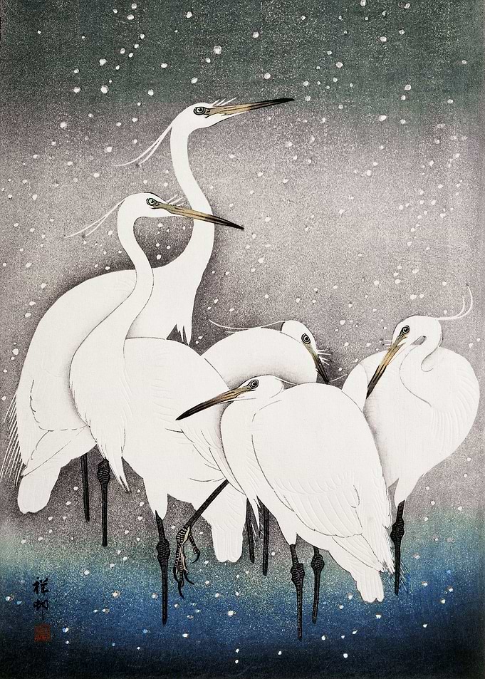 Group of Egrets 1925
