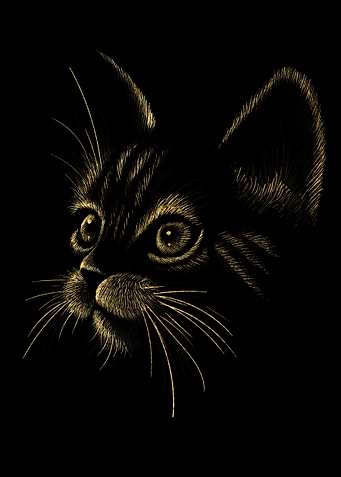 gold cat