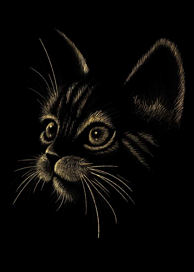gold cat