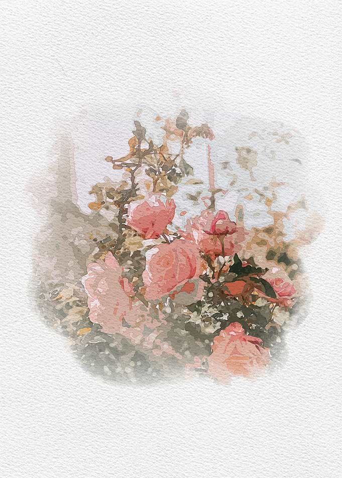 Rose Water Color