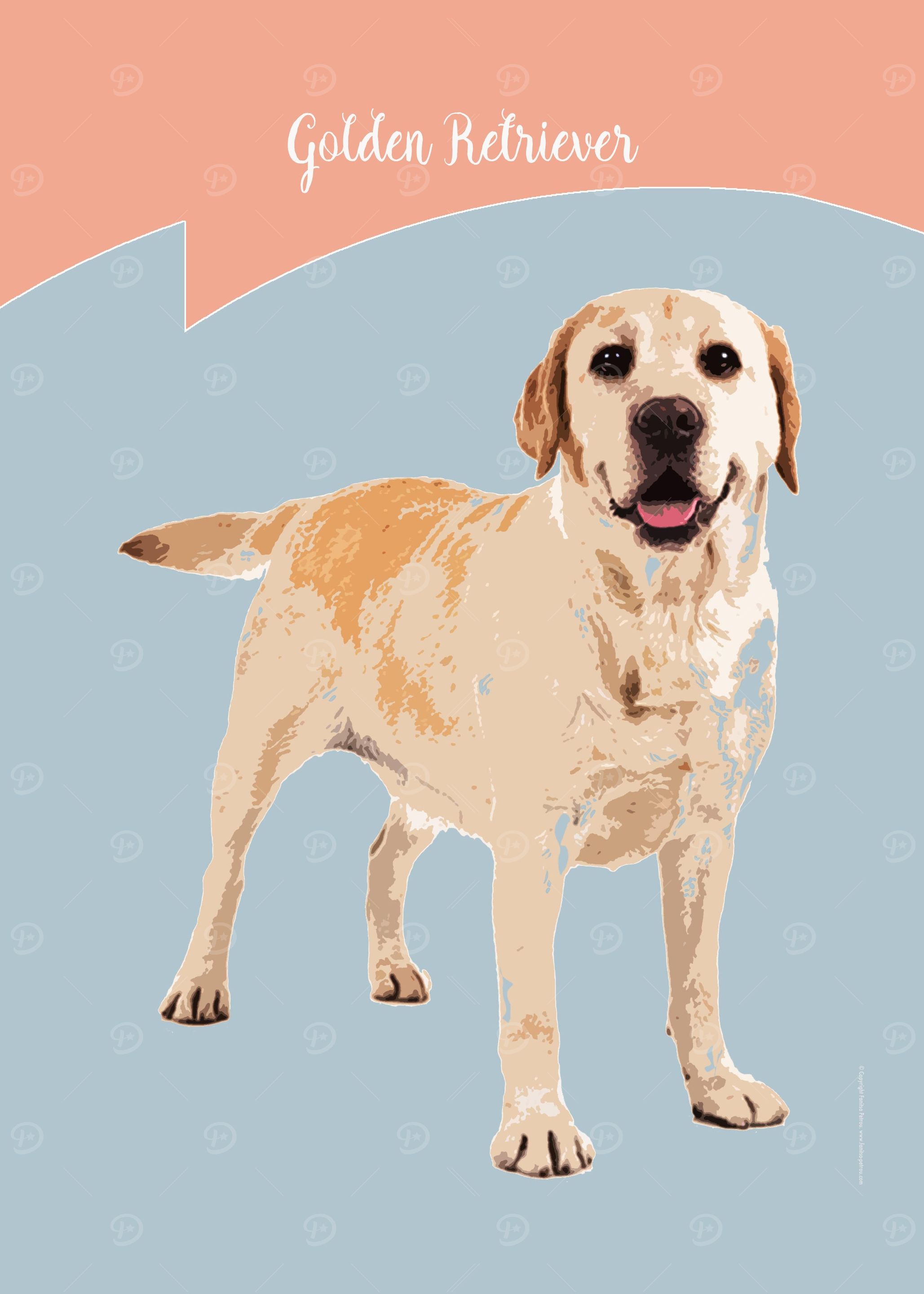 Golden Retriever